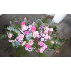 Sympathy 3 - Prices start from £85.00